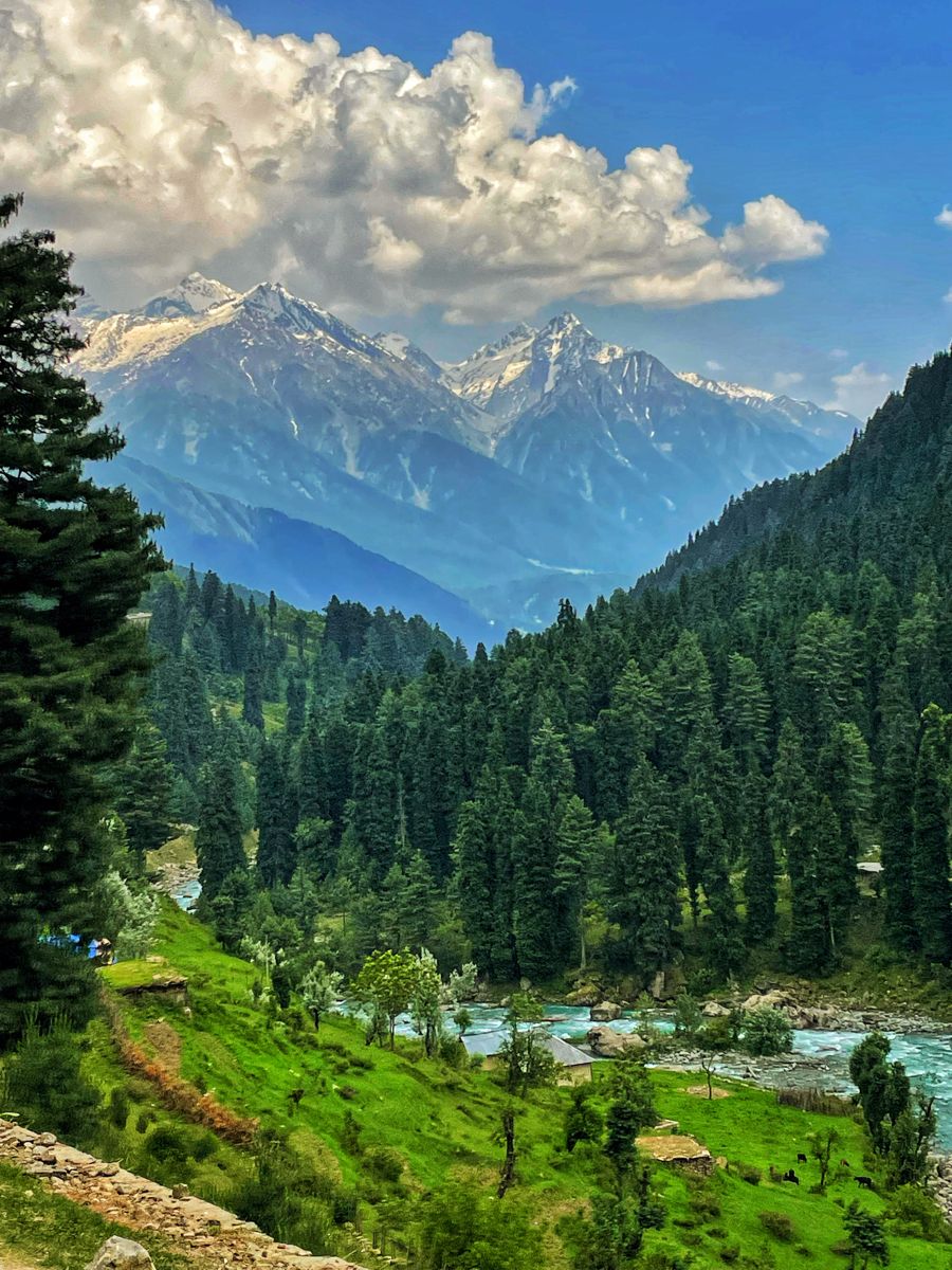 Amazing Kashmir Holidays